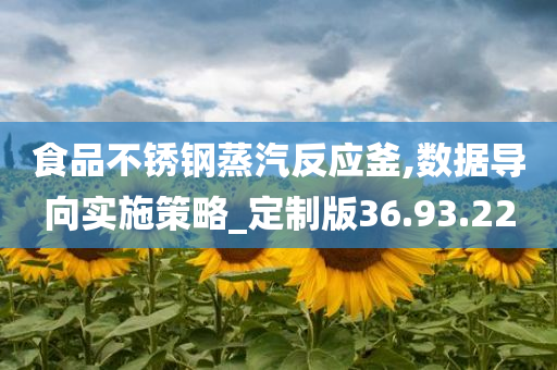 食品不锈钢蒸汽反应釜,数据导向实施策略_定制版36.93.22