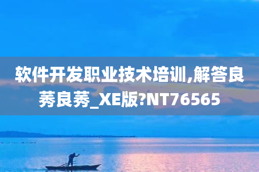 软件开发职业技术培训,解答良莠良莠_XE版?NT76565