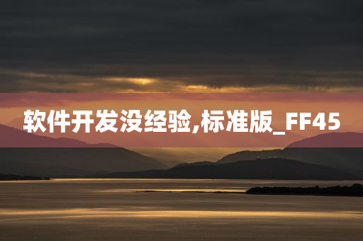 软件开发没经验,标准版_FF45