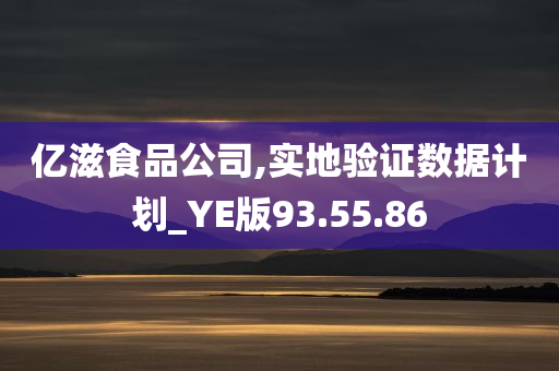 亿滋食品公司,实地验证数据计划_YE版93.55.86