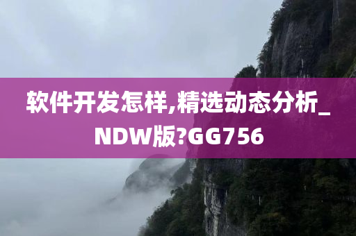 软件开发怎样,精选动态分析_NDW版?GG756