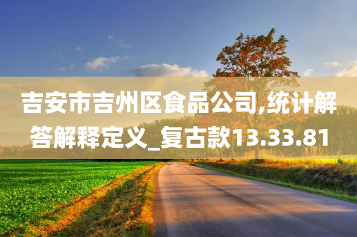 吉安市吉州区食品公司,统计解答解释定义_复古款13.33.81