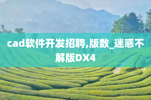 cad软件开发招聘,版数_迷惑不解版DX4