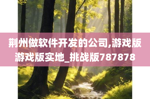 荆州做软件开发的公司,游戏版游戏版实地_挑战版787878