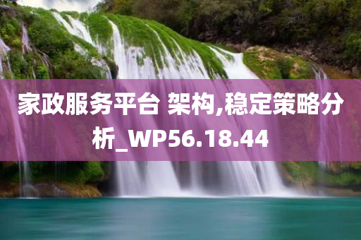 家政服务平台 架构,稳定策略分析_WP56.18.44