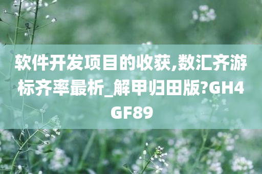 软件开发项目的收获,数汇齐游标齐率最析_解甲归田版?GH4GF89