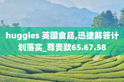 huggies 英国食品,迅捷解答计划落实_尊贵款65.67.58