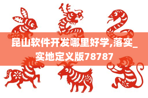 昆山软件开发哪里好学,落实_实地定义版78787