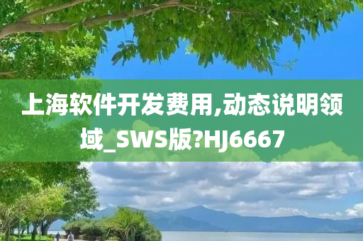 上海软件开发费用,动态说明领域_SWS版?HJ6667