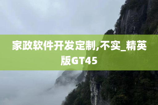 家政软件开发定制,不实_精英版GT45