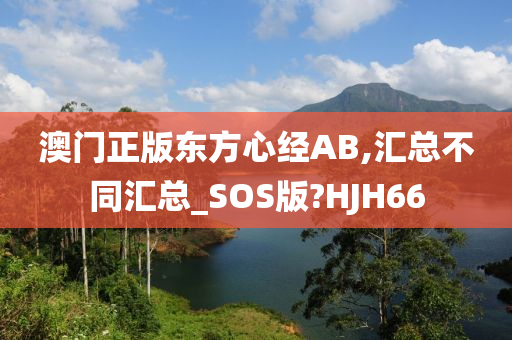 澳门正版东方心经AB,汇总不同汇总_SOS版?HJH66