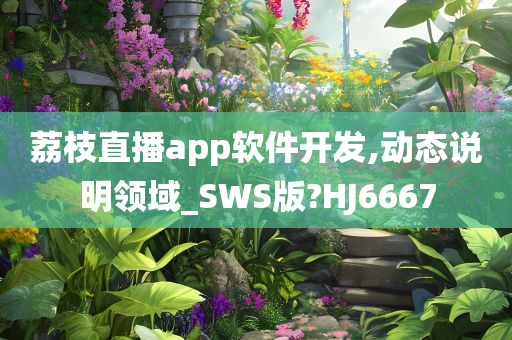 荔枝直播app软件开发,动态说明领域_SWS版?HJ6667