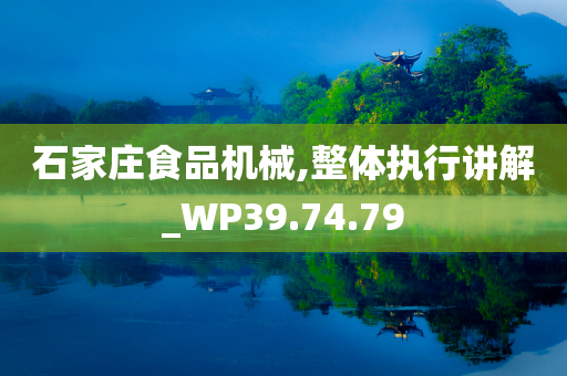 石家庄食品机械,整体执行讲解_WP39.74.79