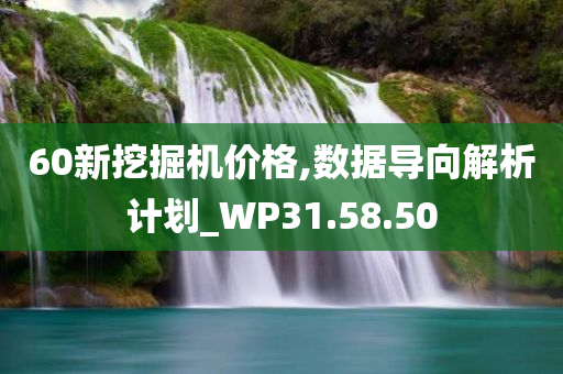 60新挖掘机价格,数据导向解析计划_WP31.58.50