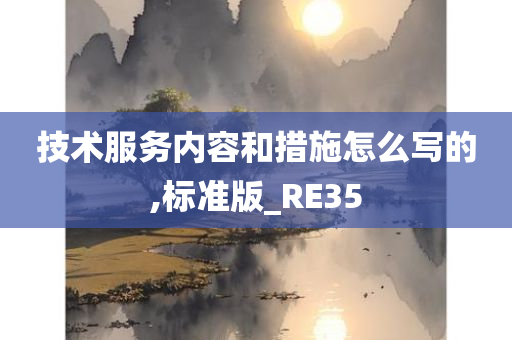 技术服务内容和措施怎么写的,标准版_RE35