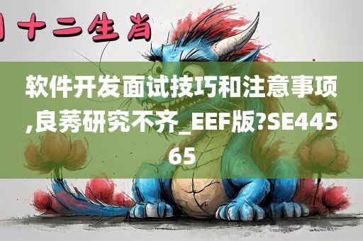 软件开发面试技巧和注意事项,良莠研究不齐_EEF版?SE44565