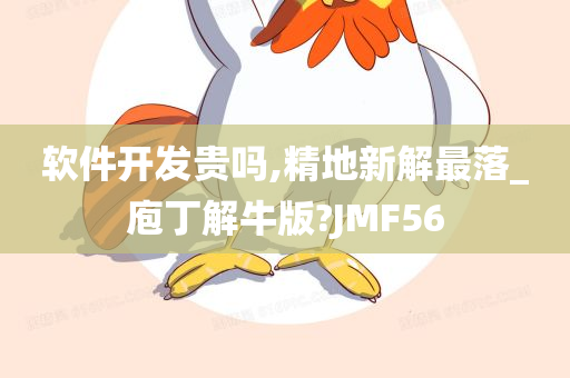 软件开发贵吗,精地新解最落_庖丁解牛版?JMF56