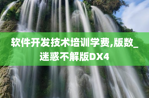 软件开发技术培训学费,版数_迷惑不解版DX4