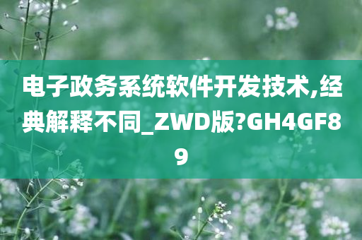 电子政务系统软件开发技术,经典解释不同_ZWD版?GH4GF89