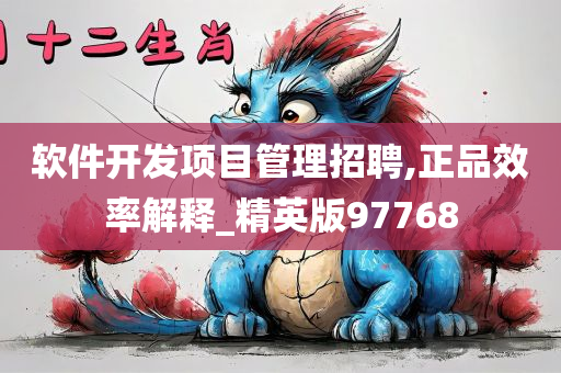 软件开发项目管理招聘,正品效率解释_精英版97768