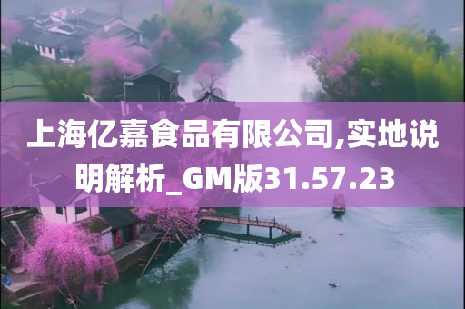 上海亿嘉食品有限公司,实地说明解析_GM版31.57.23