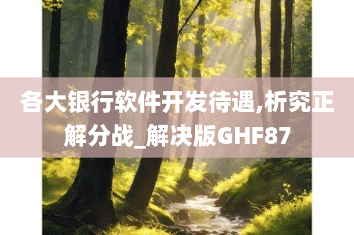 各大银行软件开发待遇,析究正解分战_解决版GHF87