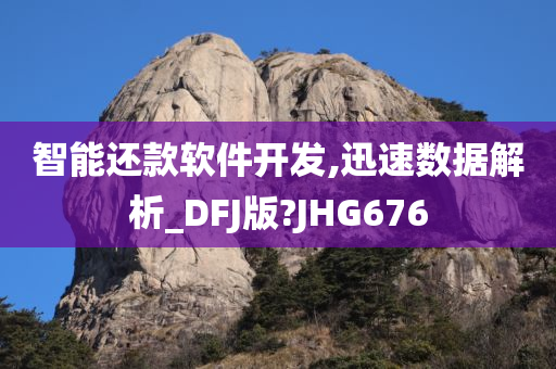 智能还款软件开发,迅速数据解析_DFJ版?JHG676