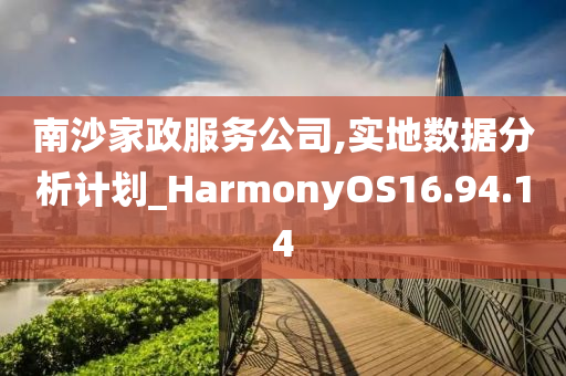 南沙家政服务公司,实地数据分析计划_HarmonyOS16.94.14