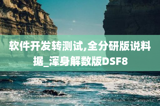 软件开发转测试,全分研版说料据_浑身解数版DSF8