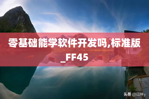 零基础能学软件开发吗,标准版_FF45