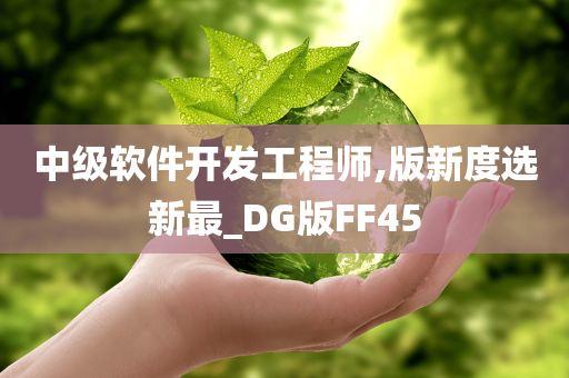 中级软件开发工程师,版新度选新最_DG版FF45