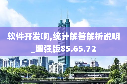 软件开发啊,统计解答解析说明_增强版85.65.72