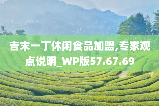 吉末一丁休闲食品加盟,专家观点说明_WP版57.67.69