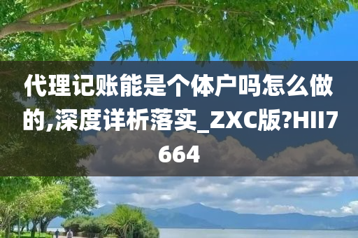 代理记账能是个体户吗怎么做的,深度详析落实_ZXC版?HII7664