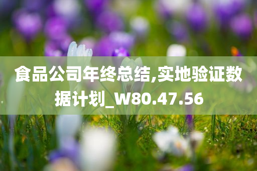 食品公司年终总结,实地验证数据计划_W80.47.56