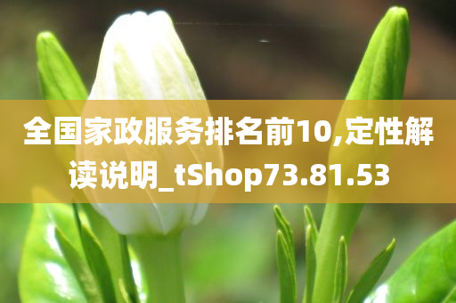 全国家政服务排名前10,定性解读说明_tShop73.81.53