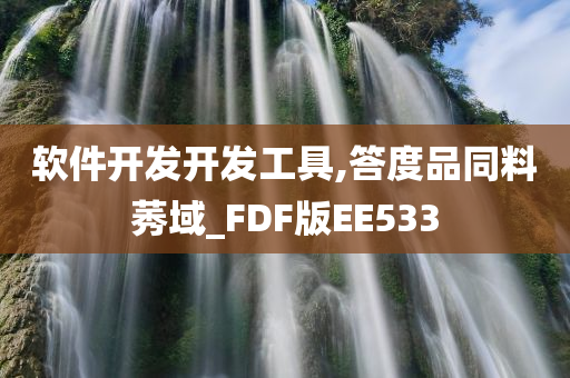 软件开发开发工具,答度品同料莠域_FDF版EE533