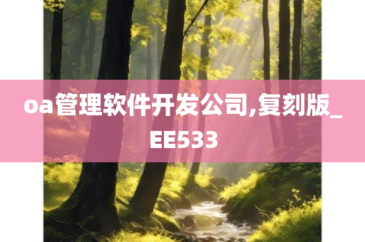 oa管理软件开发公司,复刻版_EE533