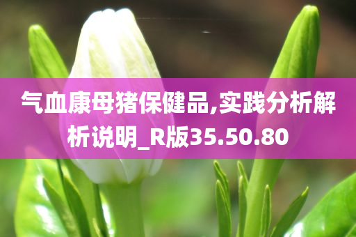 气血康母猪保健品,实践分析解析说明_R版35.50.80