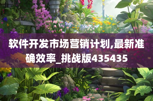 软件开发市场营销计划,最新准确效率_挑战版435435