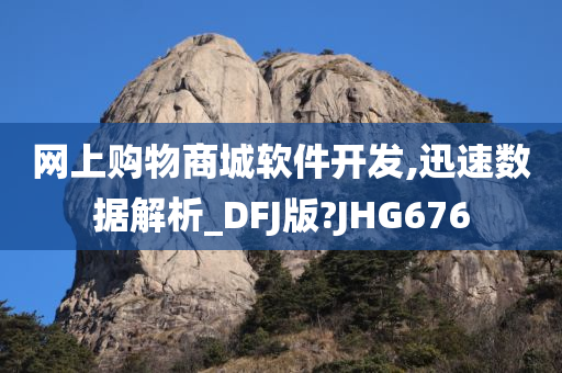 网上购物商城软件开发,迅速数据解析_DFJ版?JHG676