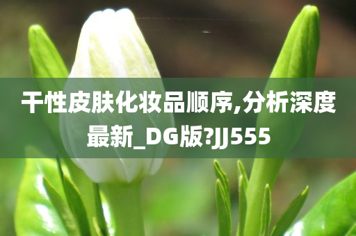 干性皮肤化妆品顺序,分析深度最新_DG版?JJ555