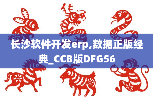 长沙软件开发erp,数据正版经典_CCB版DFG56