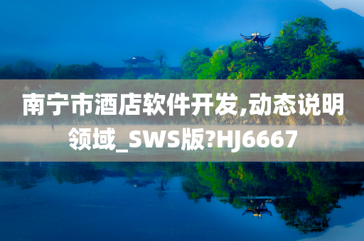 南宁市酒店软件开发,动态说明领域_SWS版?HJ6667