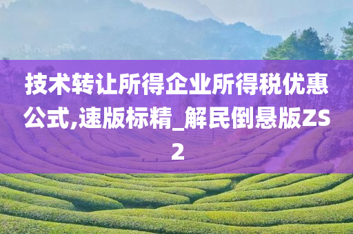 技术转让所得企业所得税优惠公式,速版标精_解民倒悬版ZS2