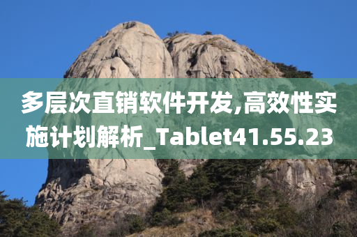 多层次直销软件开发,高效性实施计划解析_Tablet41.55.23