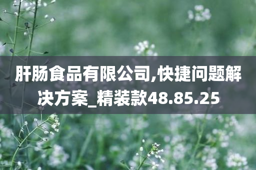 肝肠食品有限公司,快捷问题解决方案_精装款48.85.25