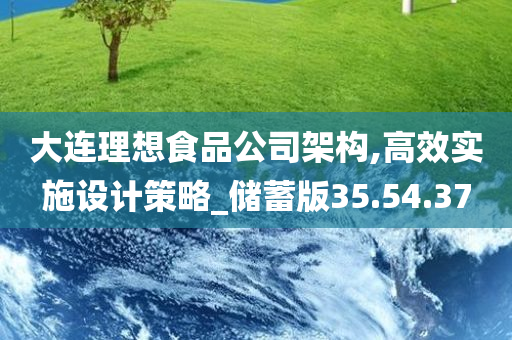 大连理想食品公司架构,高效实施设计策略_储蓄版35.54.37