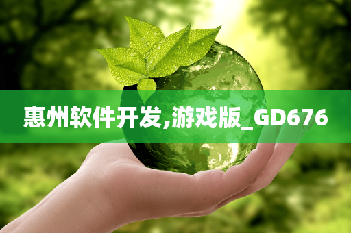 惠州软件开发,游戏版_GD676