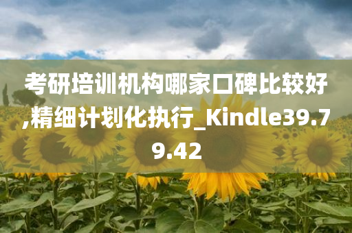 考研培训机构哪家口碑比较好,精细计划化执行_Kindle39.79.42